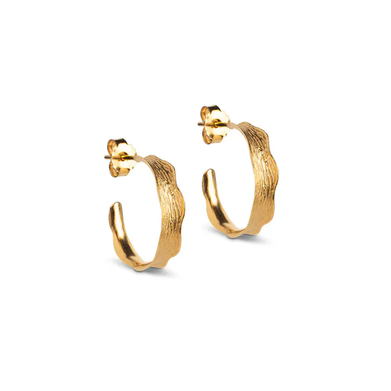 Ane Small Hoops Gold 