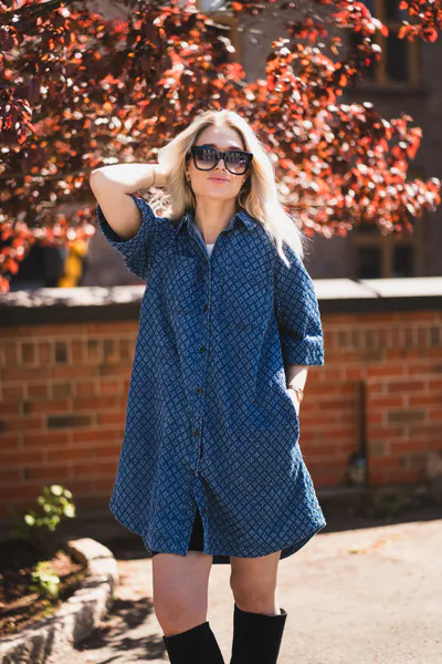 Hovedbilde Sardia Dress Ditressed Blue Denim