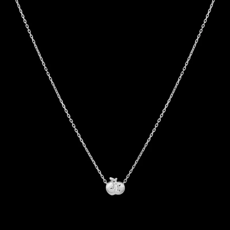 Pamela Necklace Silver 