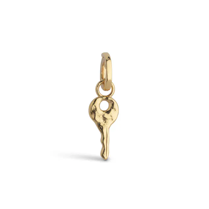 Hovedbilde Magic Key Charm Gold 