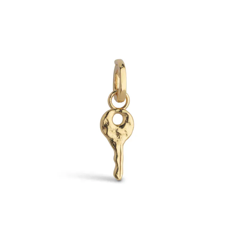 Magic Key Charm Gold 