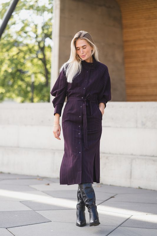 Trinny Stripe Batwing Dress Plum 