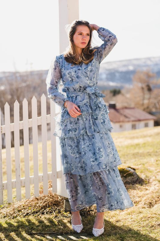 Denila Crepe Print Dress Dusty Blue 