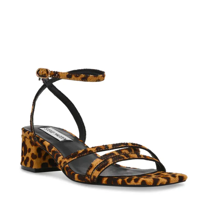 Hovedbilde Gabby Leopard 