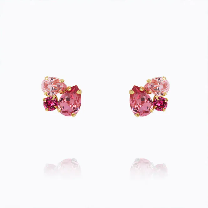 Hovedbilde Alisia Earring Gold Rose Combo 