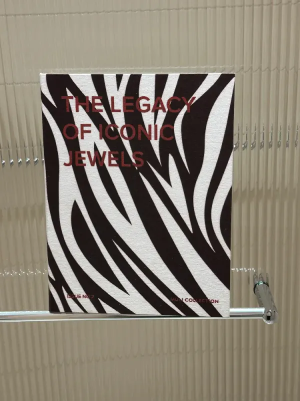 Coffee Table Book Jewelry Case Zebra 