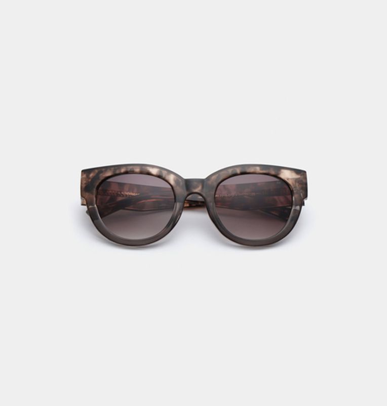 Lilly Coquina