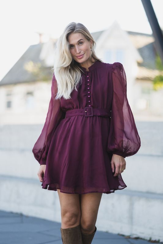 Organza Mini Dress Burgundy