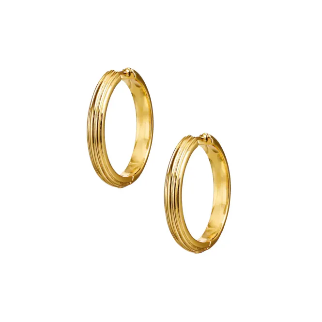 Hovedbilde Golden Deco Hoops Bold Gold 