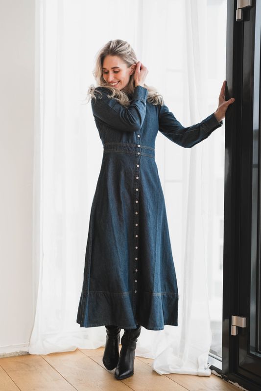 Denim Button-Down Dress French Blue 