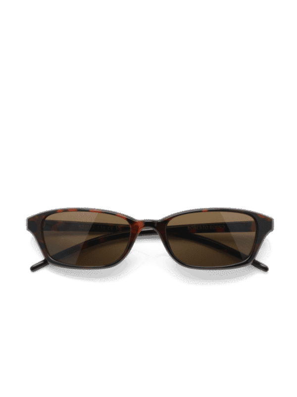 Chiara Tortoise 