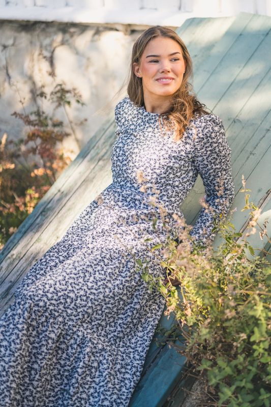 Dora Dress Navy Rosehip Print 