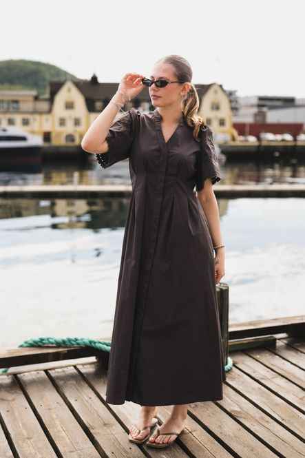 Hovedbilde Poppy Emb Pleat Dress Dark Brown 
