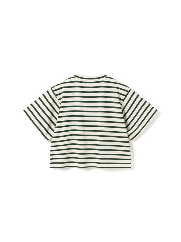 Maple T-Shirt Eton Ivory Green Stripe