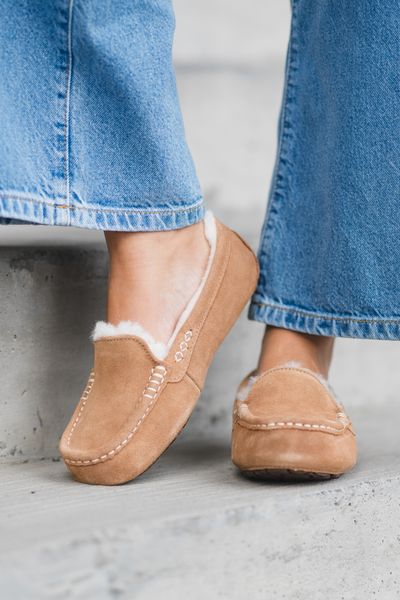 Hovedbilde W Ansley Chestnut
