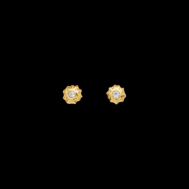 Hovedbilde Caia Earrings 