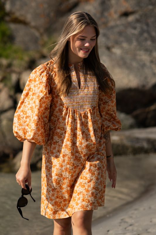 Elsa Dress Wallpaper 