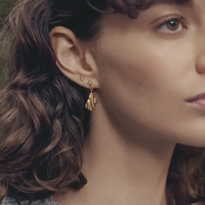 Hovedbilde Sylfide Earrings 