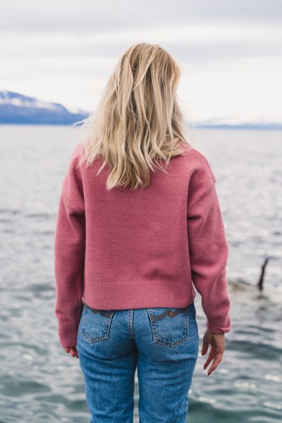 Hovedbilde Paulina Knit Blouse Rose 