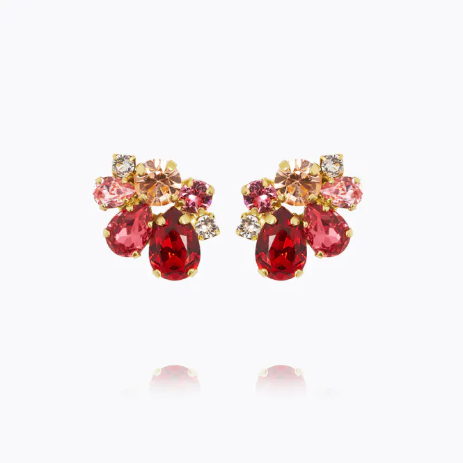 Hovedbilde Katie Earrings Gold Scarlet Combo 