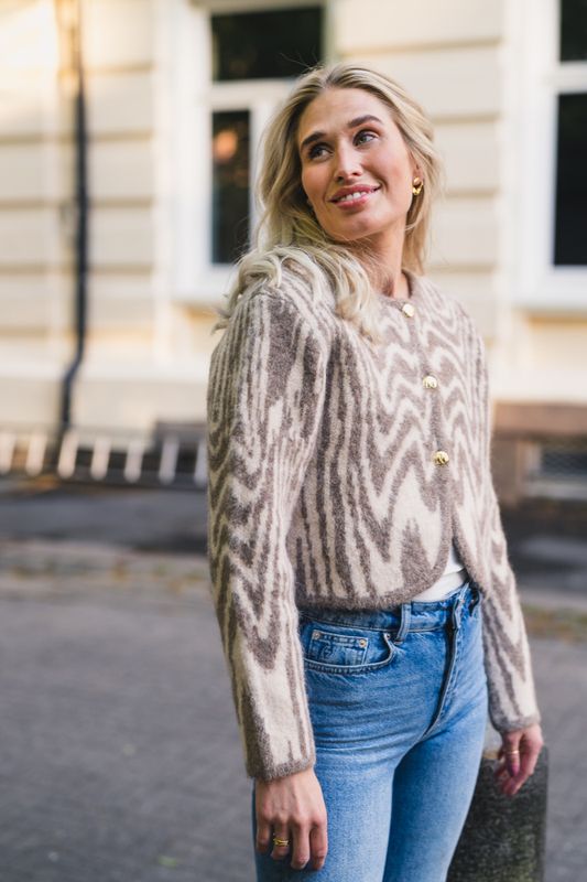 Aislinn Alpaca Blend Cardigan Moire 